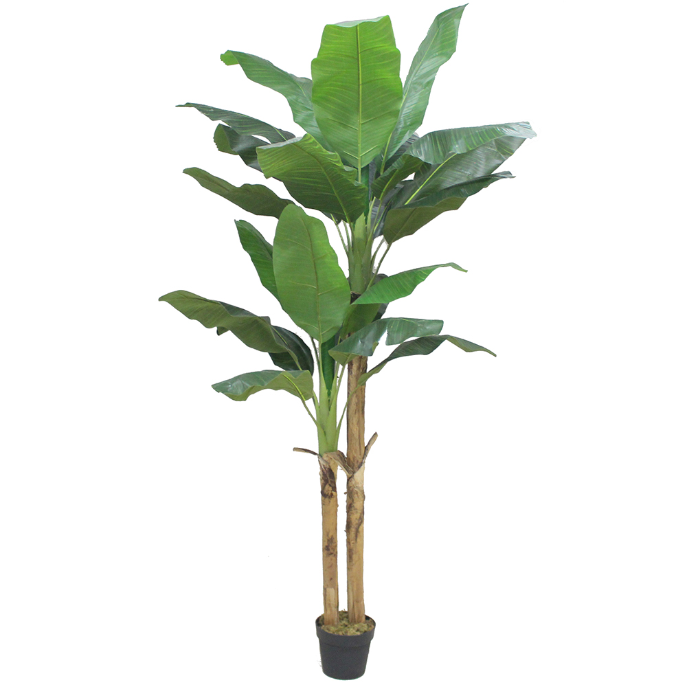 032202-xLC0W-first-_1 Banana Δεντρο Τεχνητο Σε Γλαστρα 220cm Peva Πρασινο - Image 1