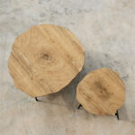 Tree Coffee Table Φυσικο Μαυρο 80x80x42cm - Image 3