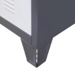 Μεταλλικη Ντουλαπα Fylliana Dakarai Γκρι Λευκο Χρωμα 38x45x190εκ - Image 6