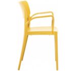 Panora Πολυθρόνα Πολυπροπυλενίου Mustard - Image 3