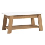 Τραπεζακι Σαλονιου Piave Artisan Oak-Λευκο High Gloss 101x55x47εκ