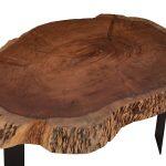 Τραπεζι Σαλονιου Briggs Με Ξυλο Ακακιας HM8776.11 80-87x50-83x40yεκ. - Image 4