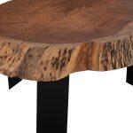 Τραπεζι Σαλονιου Briggs Με Ξυλο Ακακιας HM8776.11 80-87x50-83x40yεκ. - Image 5