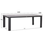 Τραπεζι Τραπεζαριας Punder HM6483.01 Γκρι Αλουμινιο--Sintered Stone Top 220x100x76υεκ - Image 2