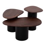 Τραπεζιa Σαλονιου 3τμχ Pebbles HM18004 Mango Top-Μεταλλικες Μαυρες Βασεις - Image 4