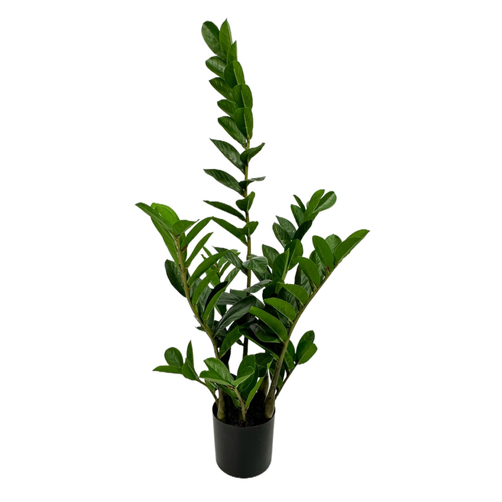 031325-GJuNm-first-_1 Zamia Φυτο Τεχνητο Σε Γλαστρα 85cm Υφασμα Πρασινο Pvc - Image 1