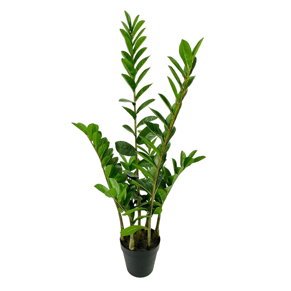 031326-JjbtA-first-_1 Zamia Φυτο Τεχνητο Σε Γλαστρα 95cm Υφασμα Πρασινο Pvc - Image 1